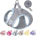 Petank Step in Dog Harness No Pull and Leash for Small Medium Dogs Cats. - color: Grey, size: XXS