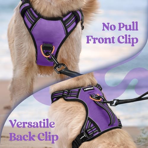 rabbitgoo Large Dog Harness, Easy Wear with 3 Buckles and Lift Handle - color: Purple, size: Small