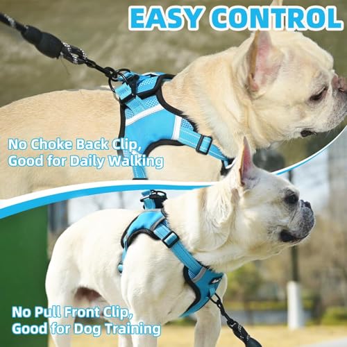 PUPTECK Dog Harness Small Sized Dog, Step in Adjustable Reflective Dog Vest Harness Escape Proof, No Pull Soft Padded Harness Easy Control, Blue, S - color: Blue, size: S (CHEST: 13"-18")