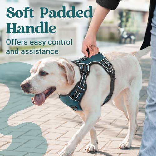 rabbitgoo Large Dog Harness, Easy Wear with 3 Buckles and Lift Handle - color: Green, size: Large