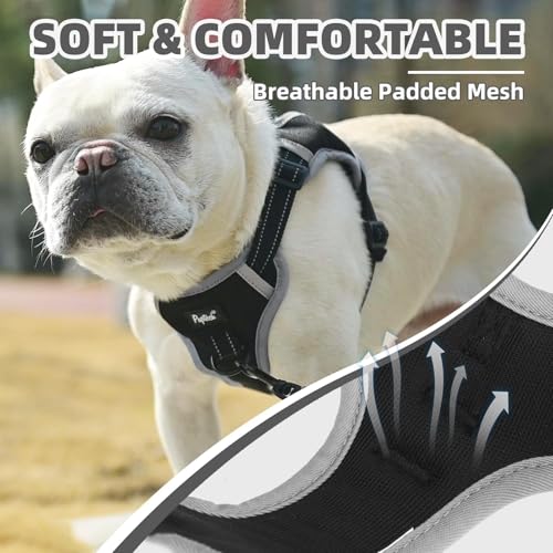 PUPTECK Dog Harness Small Sized Dog, Step in Adjustable Reflective Dog Vest Harness Escape Proof, No Pull Soft Padded Harness Easy Control, Black, XS - color: Black, size: XS (CHEST: 11.5"-16")