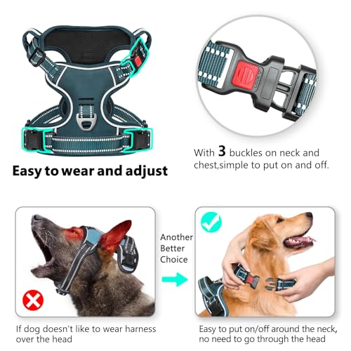 HEELE Dog Harness, Neck Release, No Pull Front Clip Vest, Blackish Green, S - color: Lock Blackish Green, size: S (Pack of 1)
