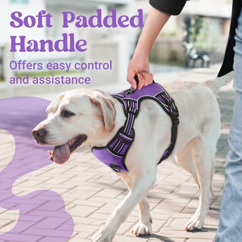 rabbitgoo Large Dog Harness, Easy Wear with 3 Buckles and Lift Handle - color: Purple, size: Medium