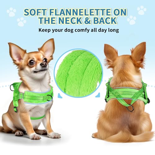 SlowTon No Pull Small Dog Harness and Leash Set with Front Clip - color: Green, size: X-Small