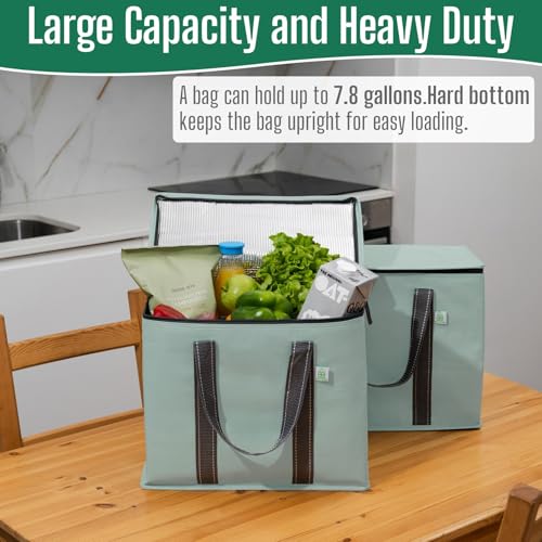 VENO 2 Pack Insulated Grocery Bags, Hard Bottom, Light Green - color: Light Green, size: 15.7"W x 12.6"H x 8.7"D - 2 Pack
