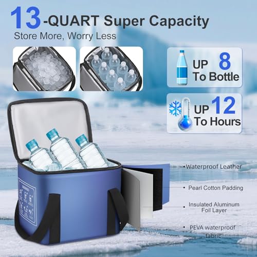 Ice Machine for Knee After Surgery, Portable Cold Therapy Machine w/Timer