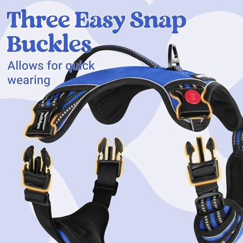 rabbitgoo Large Dog Harness, Easy Wear with 3 Buckles and Lift Handle - color: Blue, size: Small