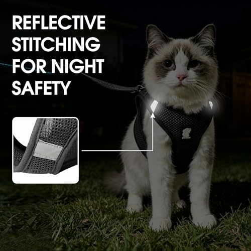 Heywean Cat Harness and Leash Escape Proof, Soft Breathable Mesh Kitty Walking Vest, Adjustable Step-in Kitten Harness Set with Reflective Strip for Small Cats - color: Black, size: Large