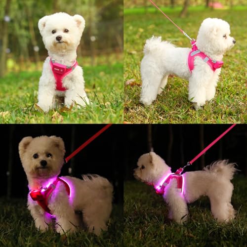 Light Up Dog Harness, Rechargeable LED Dog Harness for Small Medium Dogs - color: Pink, size: S