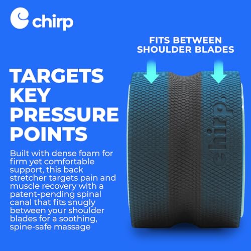 Chirp Wheel+ Foam Roller, Back & Neck Pain Relief, Mint 6-Inch - size: 6" - Deep Tissue