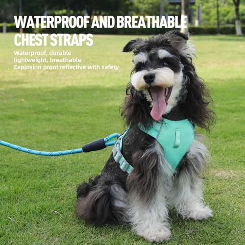 Mile High Life No Pull Dog Harness with Reflective Stripe, Adjustable Easy Get on Lightweight Harness for Small Medium Large Dogs Walking Running Training (Green, M Chest 18"-25") - color: Green, size: M Chest 18"-25"