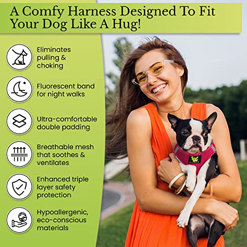 EcoBark Teacup Dog Harness, Soft Step in Puppy Vest, XXXS, Under 5 Lbs - color: Mint Turquoise, size: XXXS- 2 to 3 lbs- Chest up to 10 in (Pack of 1)