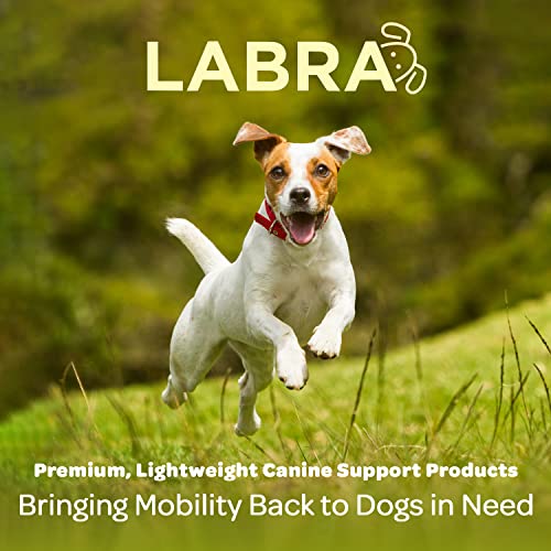 Labra Dog Rear Leg Hock Joint Compression Wrap - Supportive Brace for Weak Back Legs, ACL Tear, and Joint Discomfort - Adjustable Hind Leg Support for Senior Dogs - Extra Large - size: Extra Large