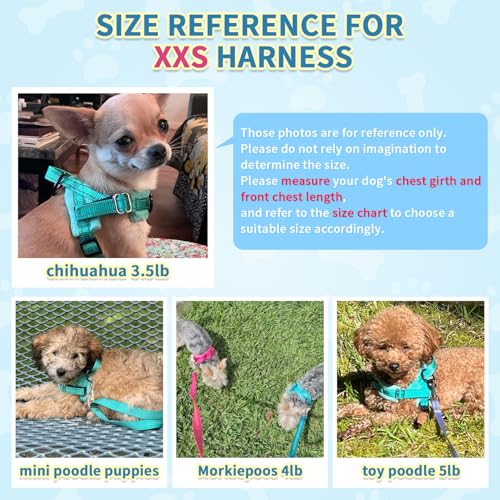 SlowTon No Pull Small Dog Harness and Leash Set with Front Clip - color: Teal, size: XX-Small