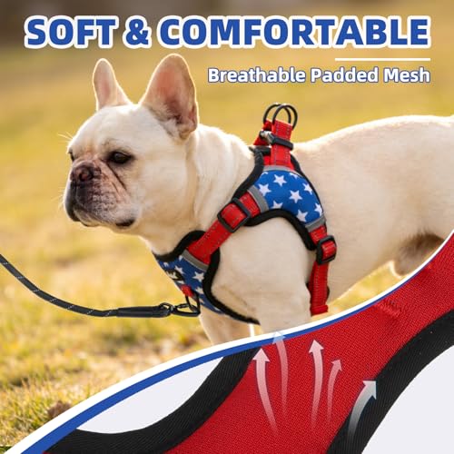 PUPTECK Dog Harness Small Sized Dog, Step in Adjustable Reflective Dog Vest Harness Escape Proof, No Pull Soft Padded Harness Easy Control, Star, S - color: Blue(Stars), size: S (CHEST: 13"-18")