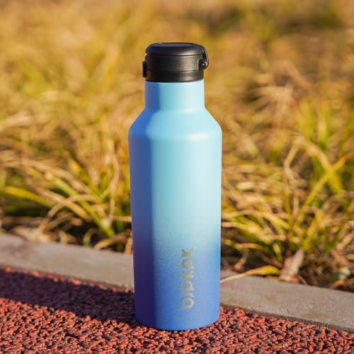 BJPKPK 25oz Insulated Thermal Water Bottle, Straw & Handle, Stainless Steel - color: Indigo Black, size: 25 Ounces