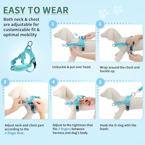 SlowTon No Pull Small Dog Harness and Leash Set with Front Clip - color: Teal, size: X-Small