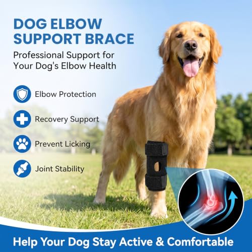 Dog Elbow Protector for Front & Rear Legs Breathable Dog Knee Brace with Adjustable Straps, Hock Joint Support for ACL CCL Tear, Arthritis, Sprain, Post-Surgery Recovery, Anti-Licking (M) - size: M