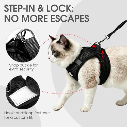 Heywean Cat Harness and Leash Escape Proof, Soft Breathable Mesh Kitty Walking Vest, Adjustable Step-in Kitten Harness Set with Reflective Strip for Small Cats - color: Black, size: Small