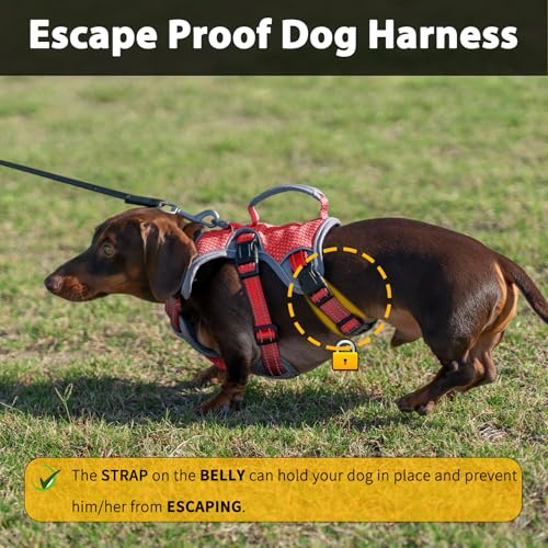 Huntboo Escape Proof Dog Harness, Dachshund Harness, Reflective Dog Harness with Handle, Durable,Adjustable Vest for Small Medium Large Dogs Walking, Training, and Running Gear (Red,M) - color: Red, size: Medium(Pack of 1)