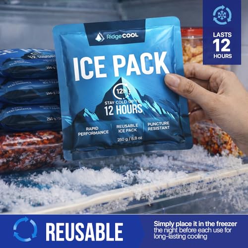 4 Pack Large Reusable Ice Packs for Coolers, Long Lasting Freezer Packs for Cooler Bags and Insulated Totes, Leakproof, BPA-Free, Food Safe - size: 4-Pack / 250g Each