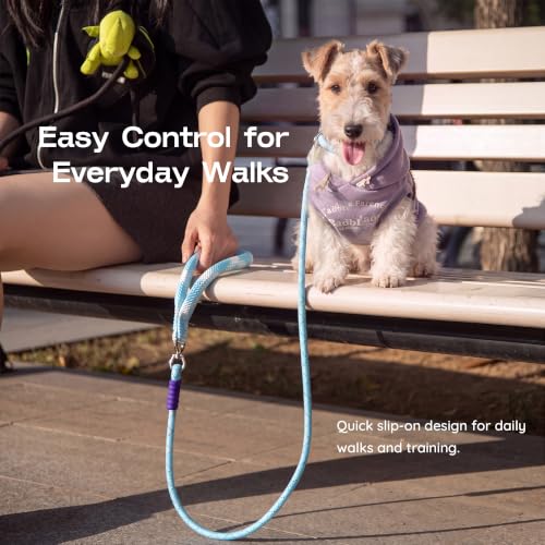 Slip Lead for Dogs, 5FT Rope Training Leash, Padded Handle, Sky Blue - color: Sky Blue
