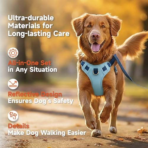 Dog Harness and Leash Set with Collar, No Pull Reflective Pet Vest Harness with Control Handle for Medium Large Dogs Walking and Training - color: Blue, size: L(Neck:22.0-29.1",Chest:26.8-34.6")