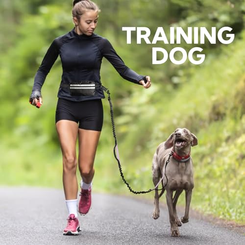 Hands Free Dog Leash for Two Dogs Walking, Running - color: Black/Purple, size: Large