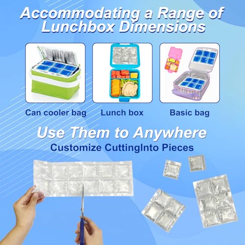 SportEmblema Flexible 2 Pack Small Ice Pack for Bento Lunch Boxes & Cooler - color: Clear