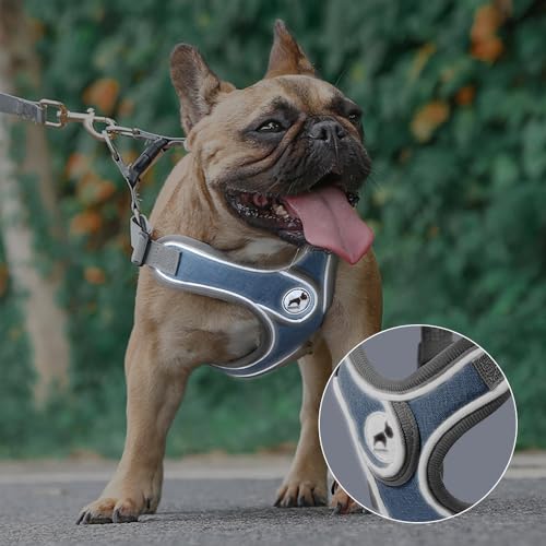 Dog Harness with Leash Set, No Pull Adjustable Step in Pet Vest - color: Gray, size: S