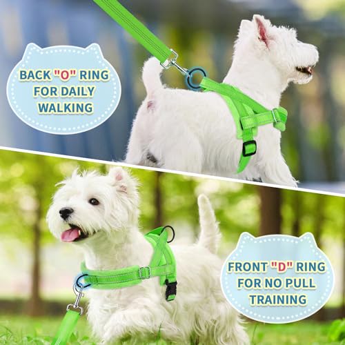 SlowTon No Pull Small Dog Harness and Leash Set with Front Clip - color: Green, size: Small
