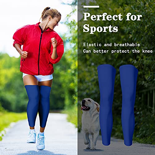 Skylety Compression Leg Sleeves Men Women - color: Black and Blue, size: Large
