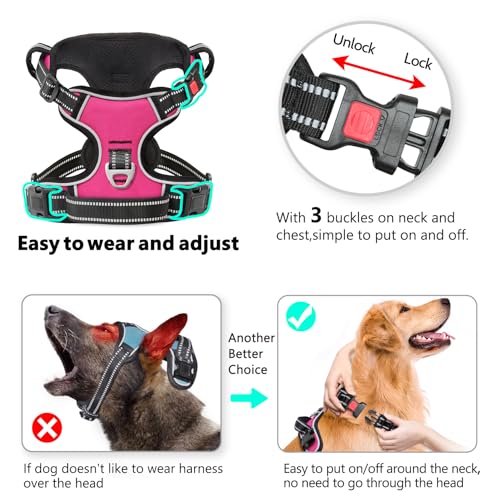 HEELE Dog Harness, Neck Release, No Pull Front Clip Vest, Fuchsia, S - color: Lock Fuchsia, size: S (Pack of 1)