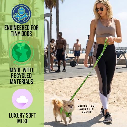EcoBark Teacup Dog Harness, Luxury Soft Step in Dog Vest, Green, XXXS - color: Green, size: XXXS- 2 to 3 lbs- Chest up to 10 in (Pack of 1)