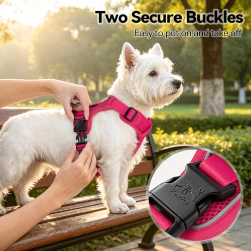 PoyPet Mesh Dog Harness, Reflective Breathable Puppy Vest for Small Dogs - color: Fuchsia, size: XS