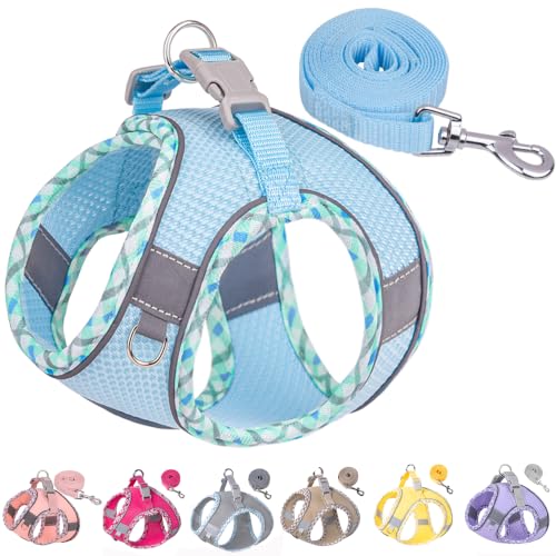 Petank Step in Dog Harness No Pull and Leash for Small Medium Dogs Cats. - color: Light Blue, size: XXXS
