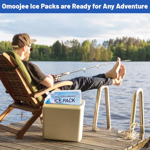 Reusable Ice Packs for Cooler, Freezer Ice Packs for Lunch Boxes, Cooler Ice Packs for Camping Gear, Fishing - size: 2 Medium + 2 Large