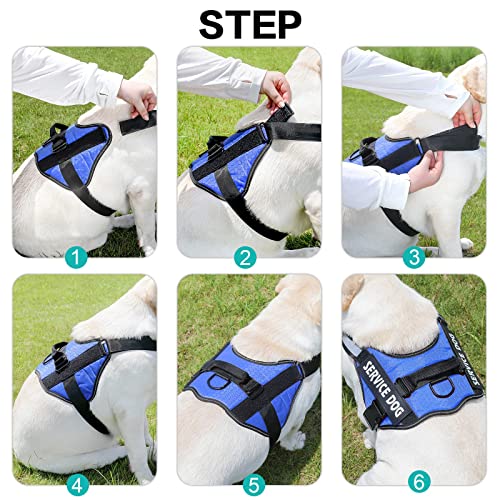 MUMUPET Custom Dog Harness Vest with 2 Personalized Name & Phone Patches - color: Blue-Custom, size: X-Small
