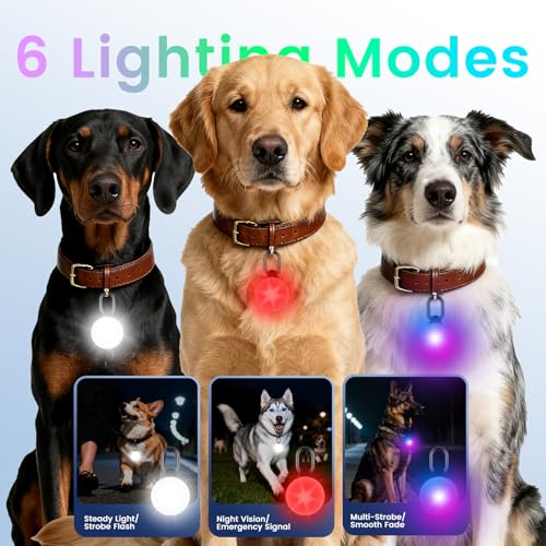 2-in-1 GPS Tracker & Dog Light - Works with Apple Find My - No Subscription