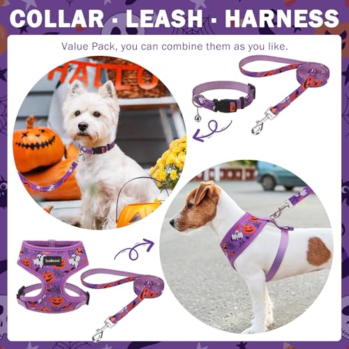 SCENEREAL Halloween Small Dog Harness and Leash Set - color: Purple-Halloween, size: XS: Chest Girth: 10"-14"