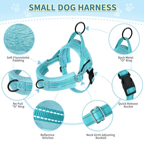 SlowTon No Pull Small Dog Harness and Leash Set with Front Clip - color: Teal, size: Small