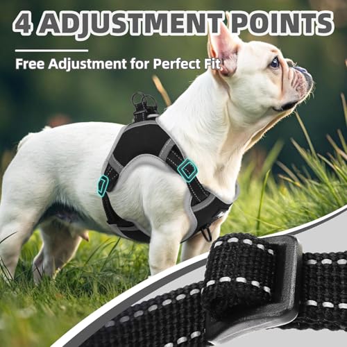 PUPTECK Dog Harness Small Sized Dog, Step in Adjustable Reflective Dog Vest Harness Escape Proof, No Pull Soft Padded Harness Easy Control, Black, XS - color: Black, size: XS (CHEST: 11.5"-16")