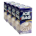 Cara Cold Therapy Ice Bag, 9 Inch (Pack of 4) - size: 9 Inch (Pack of 4)