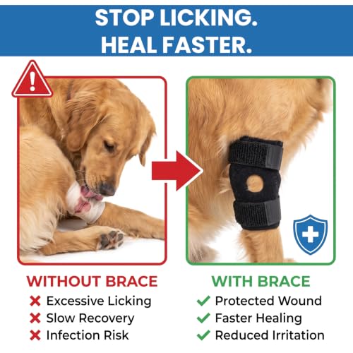 Dog Elbow Protector for Front & Rear Legs Breathable Dog Knee Brace with Adjustable Straps, Hock Joint Support for ACL CCL Tear, Arthritis, Sprain, Post-Surgery Recovery, Anti-Licking (M) - size: M