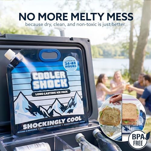 Cooler Shock Reusable Ice Packs for Cooler - Long Lasting Cold Freezer Packs for Coolers and Lunch Boxes - Cooler Ice Packs for Camping Gear, Fishing, Road Trips, Beach Must Haves - style: Medium - With Handle - 4pk