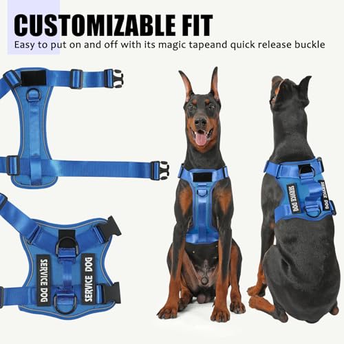 Service Dog Harness, Reflective Dog Vest Harness with 5 PCS Patches, Adjustable Soft Oxford Pet Harness, Inner Layer Mesh, Easy to Control - color: ALL Blue, size: Large (Pack of 1)