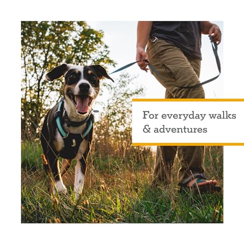Ruffwear, Hi & Light Dog Chest Harness, Basalt Gray, Small - color: Basalt Gray, size: Small