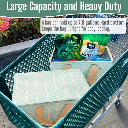 VENO 2 Pack Insulated Grocery Bags, Hard Bottom, Evergreen - color: Evergreen, size: 15.7"W x 12.6"H x 8.7"D - 2 Pack