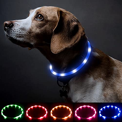 BSEEN Light Up Dog Collar, Cuttable LED Dog Collar Rechargeable Puppy Collar Glowing Safety Dog Walking Lights for Small Medium Large Dogs (Blue) - color: Blue-Standard(70cm)