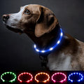 BSEEN Light Up Dog Collar, Cuttable LED Dog Collar Rechargeable Puppy Collar Glowing Safety Dog Walking Lights for Small Medium Large Dogs (Blue) - color: Blue-Standard(70cm)